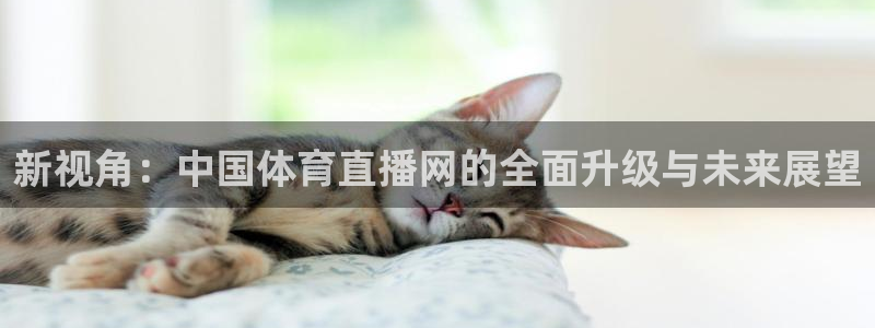 88看球免费直播：新视角：中国体育直播网的全面升级与未来展望