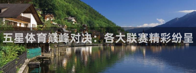 88看球nba在线直播：五星体育巅峰对决：各大联赛精彩纷呈
