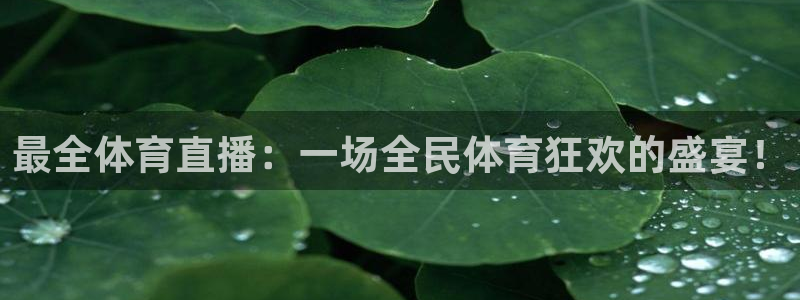 88看球:足球直播_nba线上看_免费体育直播：最全体育直播：一场全民体育狂欢的盛宴！