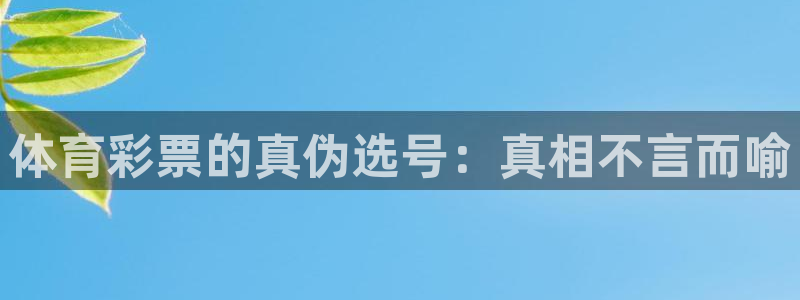 88看球直播nba免费官网：体育彩票的真伪选号：真相不言而喻