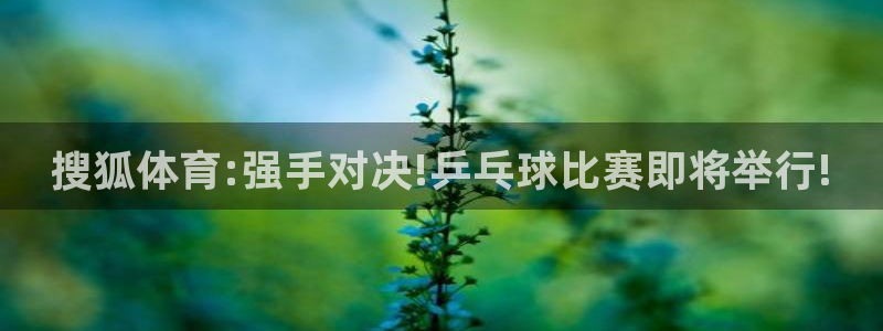 88看球nba直播高清：搜狐体育:强手对决!乒乓球比赛即将举行!