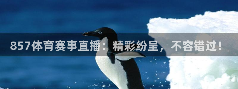 88看球直播nba直播：857体育赛事直播：精彩纷呈，不容错过！